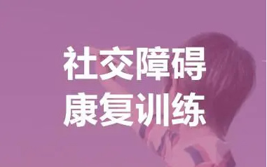 儿童社交障碍康复训练机构排名