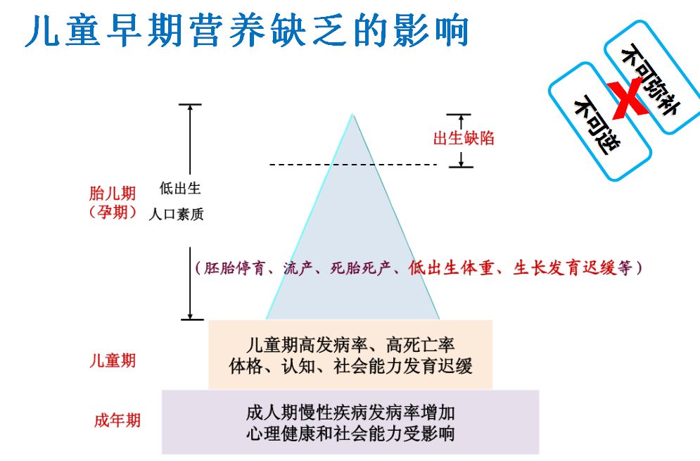 儿童营养健康的影响