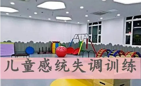 儿童感统失调康复训练机构排名