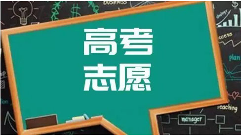 高考志愿填报机构排名