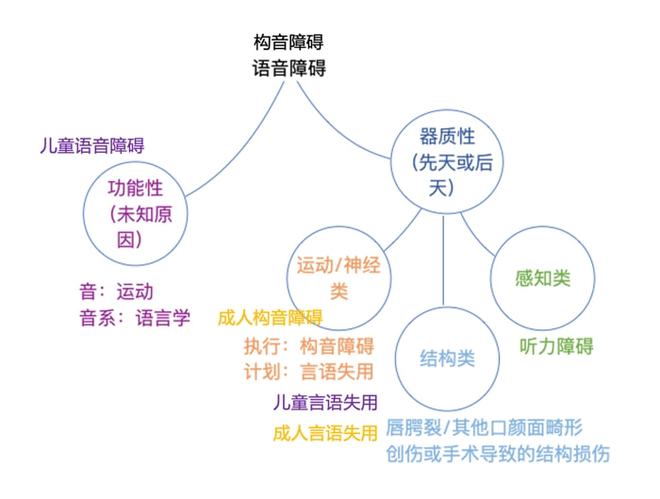 功能性构音障碍矫正