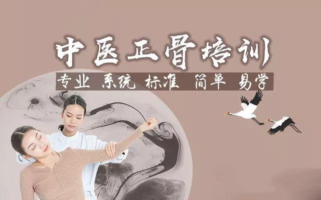 中医正骨培训