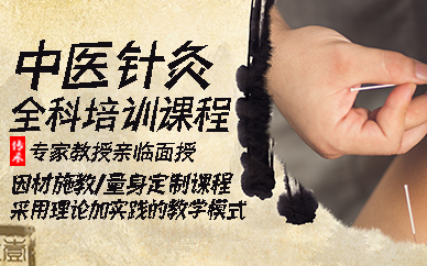 中医针灸培训