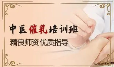 中医催乳培训学校排名