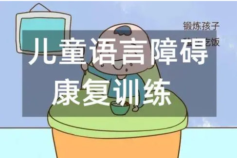 儿童语言康复训练机构排名