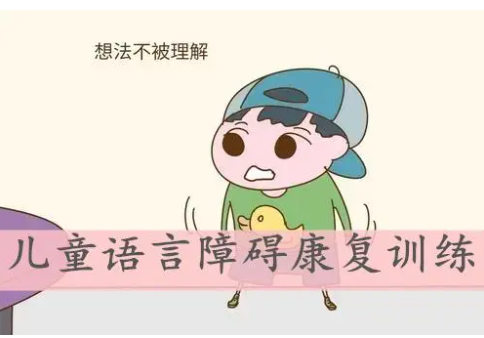 儿童语言康复训练机构排名