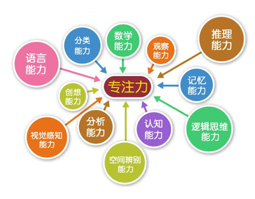 如何培养儿童的专注力