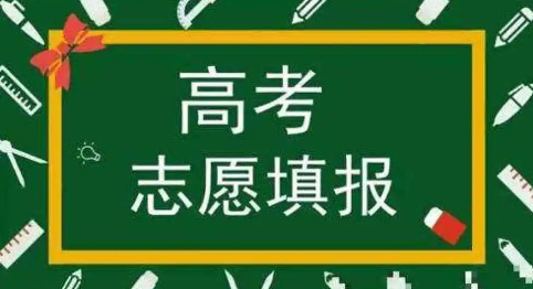 志愿填报辅导机构的优势特点