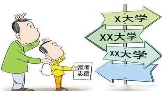 高考志愿填报学校
