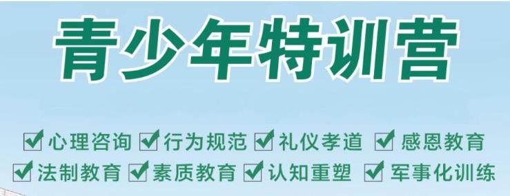 青少年特训营