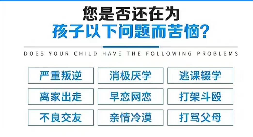 青少年素质教育
