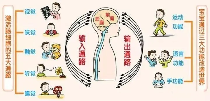 感统失调表现 感统失调表现