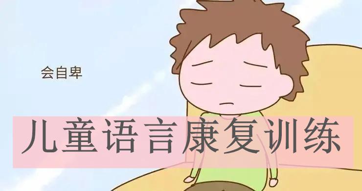 儿童语言康复训练