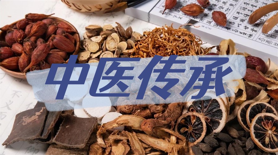 中医师承培训