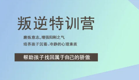 青少年网瘾的危害
