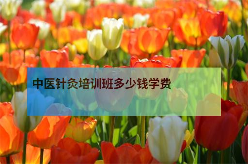 中医针灸培训