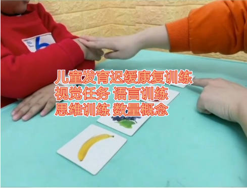 儿童语言迟缓康复训练机构推荐