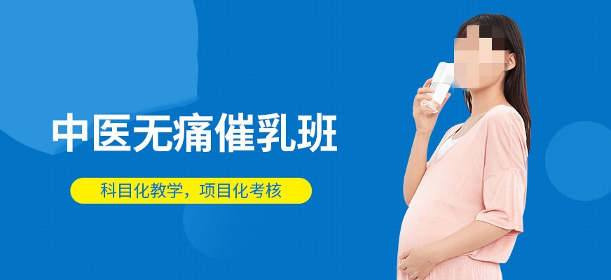 中医催乳培训班