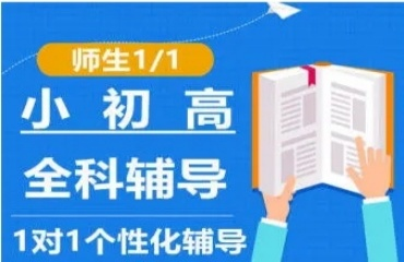 汇总重庆九龙坡区小学语数英辅导机构前十排名一览表
