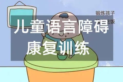 儿童语言康复训练机构