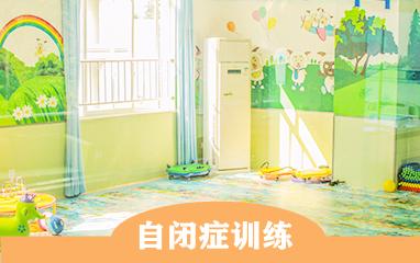 自闭症康复训练机构 自闭症康复训练机构