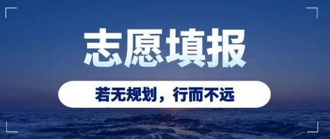 志愿填报规划机构能够帮助什么