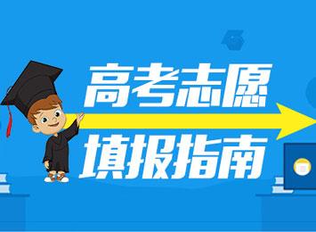 高考志愿填报