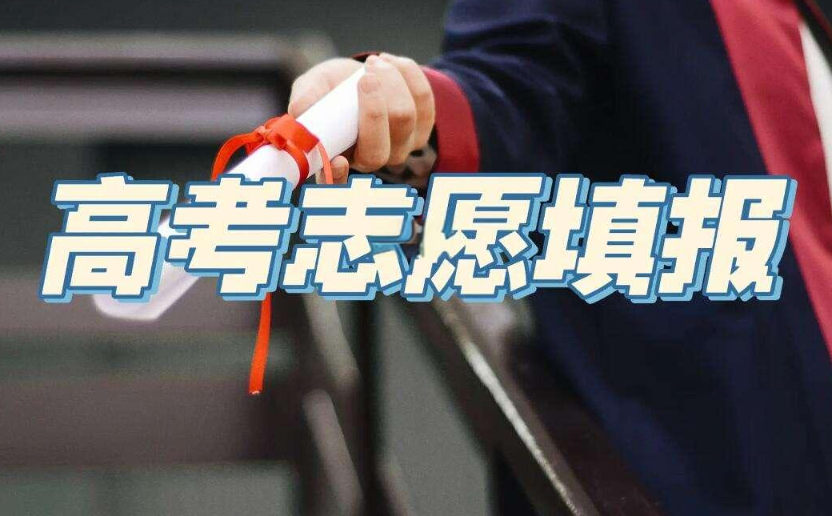 志愿填报