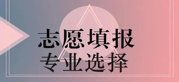 专业选择