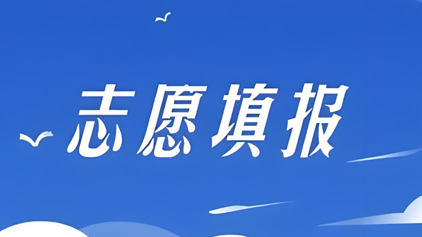 志愿填报