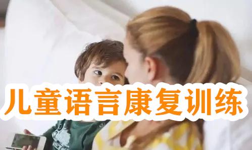 儿童语言发育迟缓康复训练