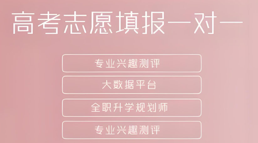 高考志愿填报一对一服务