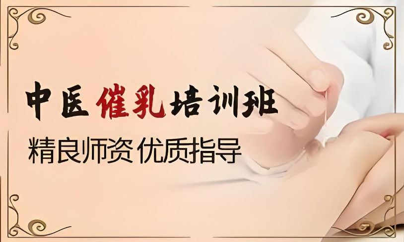 中医催乳培训机构排名