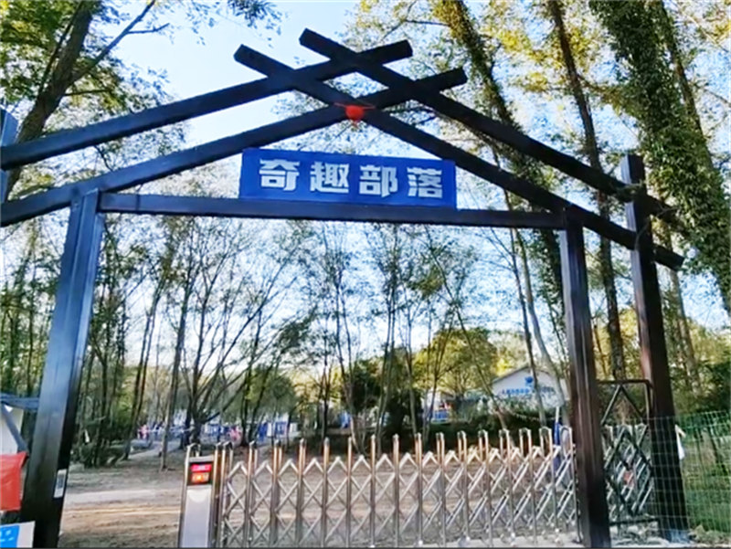 军事夏令营