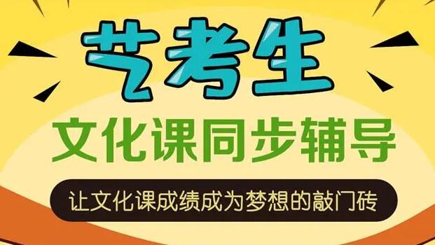 艺考文化课辅导