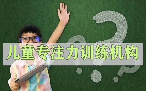 儿童专注力训练 儿童专注力训练