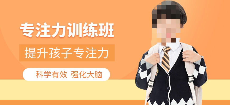 儿童专注力训练 儿童专注力训练