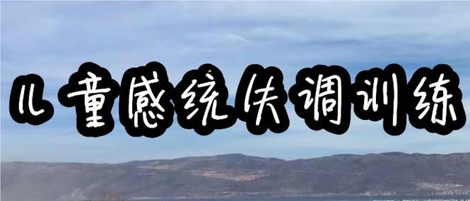 儿童感统失调训练