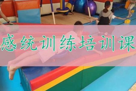 儿童感统失调训练