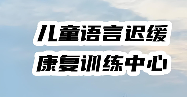 儿童语言发育迟缓康复训练机构排名