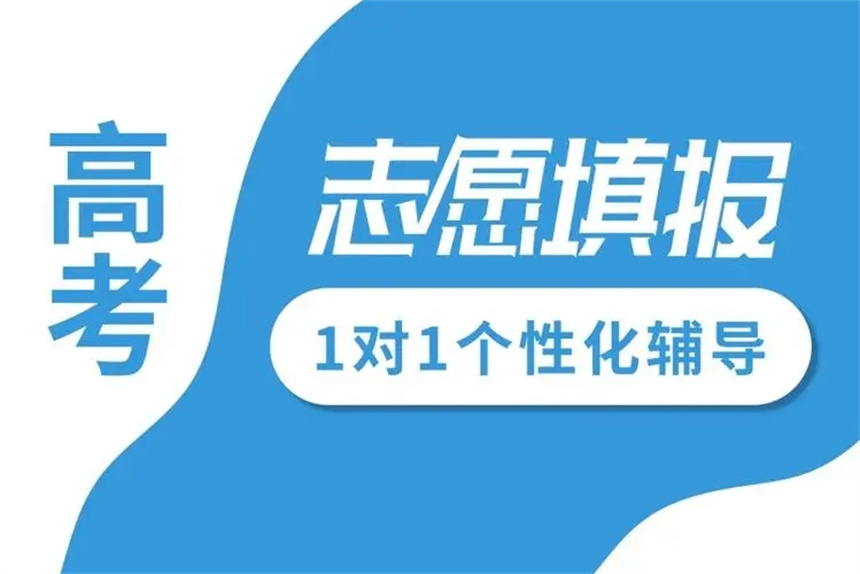 高考志愿填报一对一规划服务