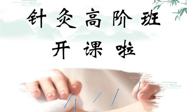 中医针灸培训