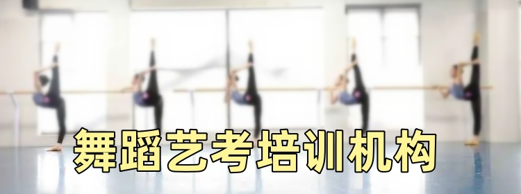 舞蹈艺考