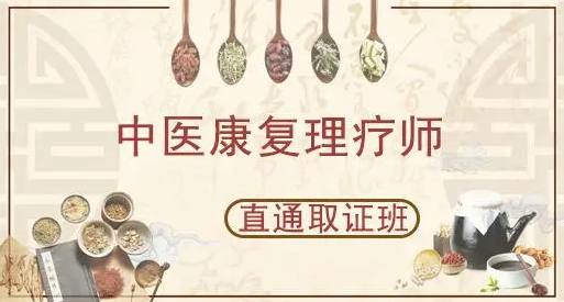 中医康复理疗师 中医康复理疗师
