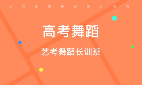 高考艺考指导机构