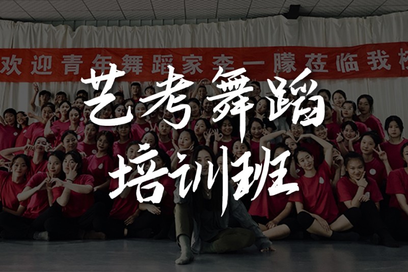 高考艺考指导机构