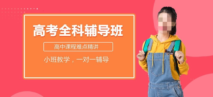 高考一对一冲刺辅导