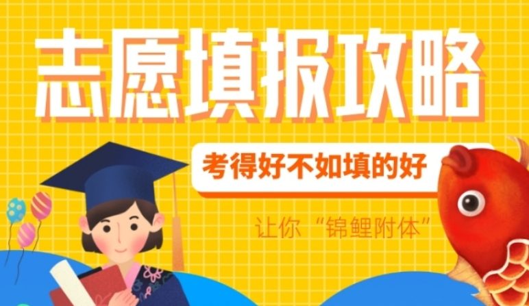为什么选择专业的高考志愿填报机构？