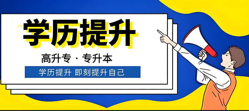 学历提升都有哪种项目