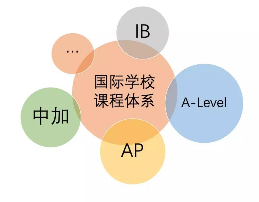 上海国际中学课程特色